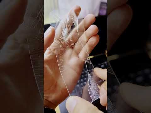 I had this screen protector on my phone since it was brand new... two years ago