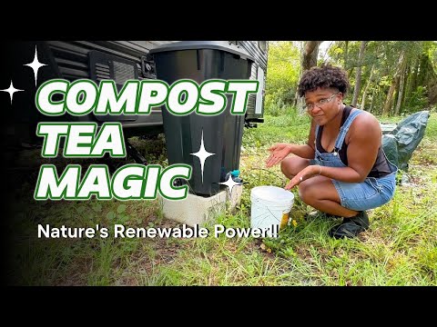 Permaculture Principle #5 | Compost Tea & Comfrey: Renewable Resources in Action