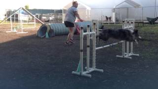 Exercise 3