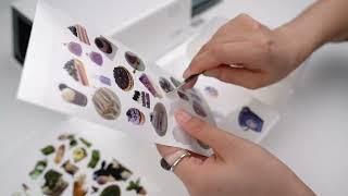 Unlock Creative Possibilities with Liene PixCut S1 for Sticker Customization & Scrapbooking!