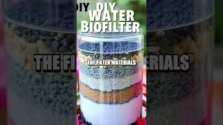 Engaging DIY Water Biofilter Experiment