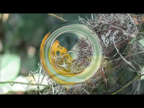 15 Minute Super Deep Meditation Music: Relax Mind Body, Inner Peace, Relaxing Music, Bird Music,