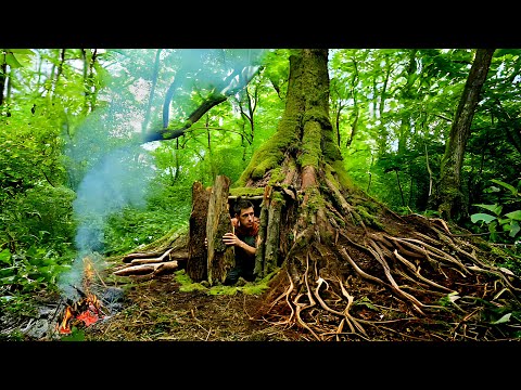 Fantastic Tree Root Shelter, Building and Survival Underground in a Tree : Building a secret shelter