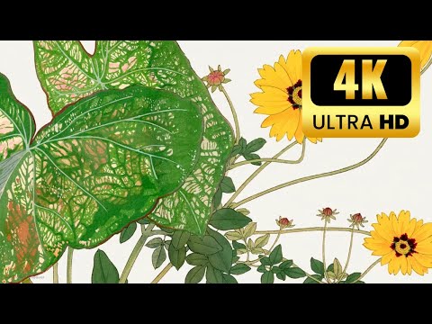 4K TV Art Screensaver | 6 Best Vintage Museum Paintings | 2 Hours