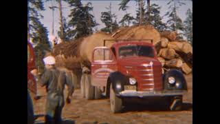 Hobi Logging 1