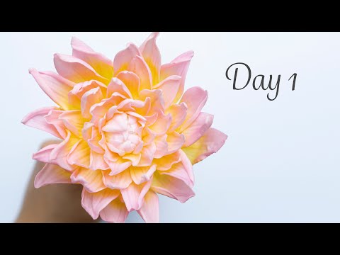 Dahlia | Day 1 | 30 Days of Sugar Flowers