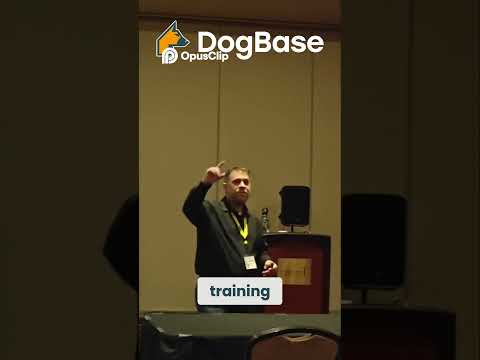 Faster Dog Training: Progressive Techniques for Quick Results