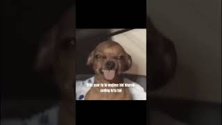 Chhi yaar tu to mujhse bhi kharab coding krta hai