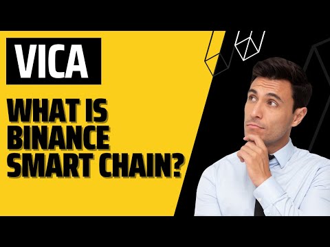 ViCA । What is Binance Smart Chain?
