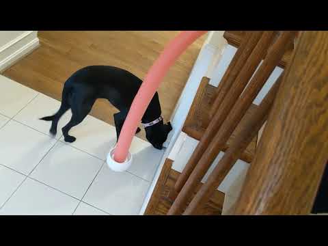 The Treatinator