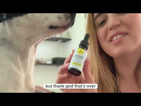 My Dog Was Going Blind. This Saved Her