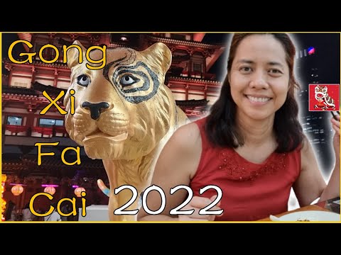 Gong Xi Fa Cai | Xīnnián hǎo | Happy Chinese New Year | #cny #singapore #china #haidilao #恭喜发财 #33