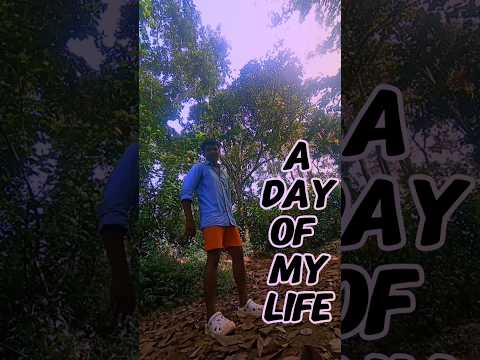 A day of my life 🤔 #bimolvlog #adayofmylifebimolvlog #minivlo #newversion