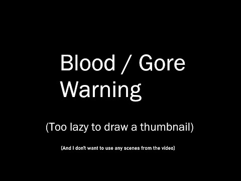 You want a video? You got one. (Blood Warning)