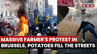 Farmer's Protest In Brussels, Streets Buried Under Potatoes | Chaos Breaks Out, Watch Video
