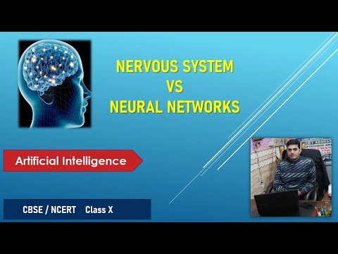 Human Nervous System Vs Neural Networks I Neural Networks I Artificial Intelligence