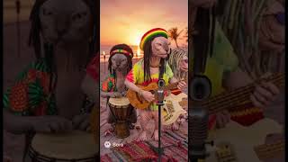 Cat mood #Popular ￼#catshorts #2025 #reggae #catlovers #music #recommendations