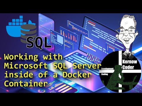 Using SQL Server inside of Docker