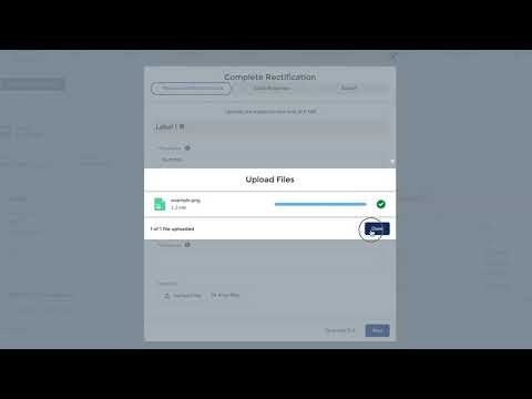 Audit Portal Walkthrough