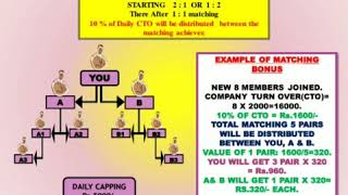 Marketing plan  THE CTOLIFE PARIWAR