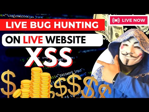 XSS on Open Bug Bounty | bug hunting for beginners | bug bounty for beginners| hacker vlog english