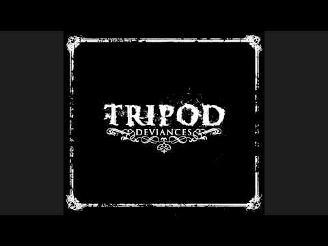 TRIPOD - Conscient (ENG. Translation)