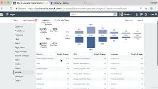 Facebook Insights #facebookmarketing  #facebookforbusiness #facebookgrowth #contentmarketing