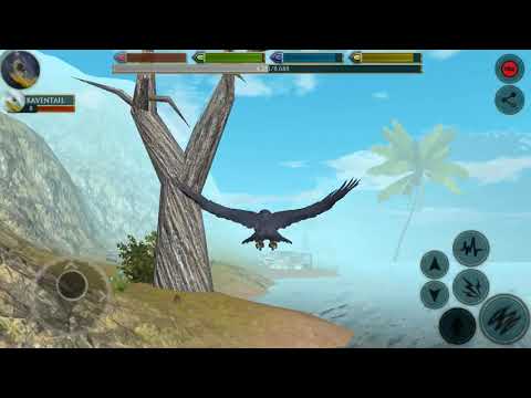 Here’s a bird game.. called United bird simulator