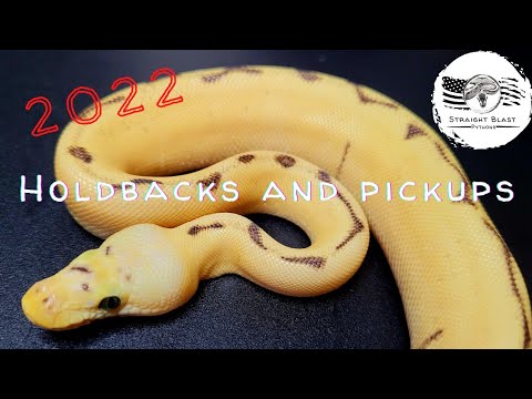 Holdbacks and Pickups For the Future! A Review Of How Our Collection Grew in 2022!