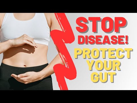Does Your GUT Hold The Secret To A HEALTHY Immune System?