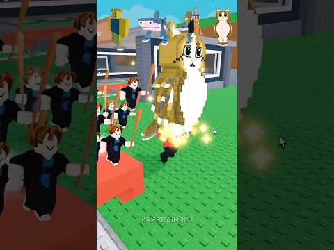 Running With Rarer and Rarer Brainrots! #likechallenge