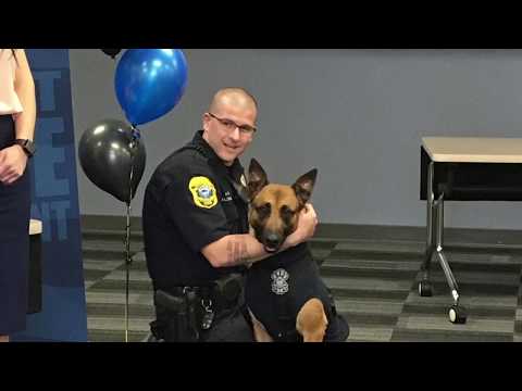 See K9 Pyro return to work
