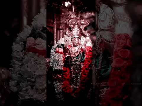 murugan🙏🙏 best whatsApp status in tamil