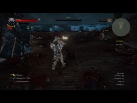 The Witcher 3 glitch