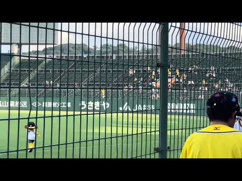 ［4K］23.7.28 阪神 スタメン発表 1-9 盛り上げるキー太
