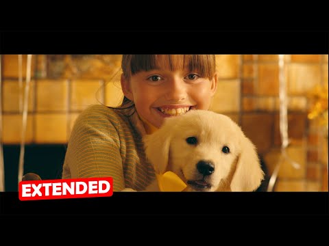 Marshmello & Bastille - Happier [EXTENDED]
