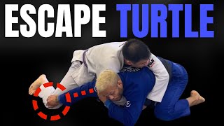 5 Ways To Recover Guard From Turtle Position | BJJ MUST KNOW |