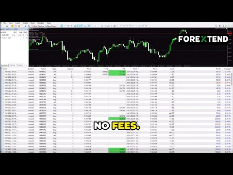 The Forex Game is Rigged… Unless You Trade Like This