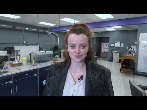 Engineering Pathways | Family Makers project