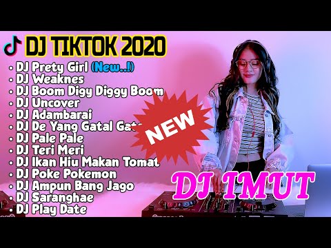 DJ IMUT (FULL ALLBUM 2020) || DJ TIKTOK 2020 || DJ Prety Girl