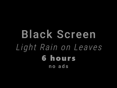 Soothing Rain Sounds on Leaves in the Forest (Black Screen)