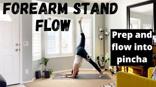 Flow into FOREARM STAND: Yoga to prep for this fun inversion!