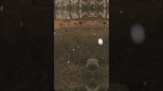Islamic video form c s s #########wassem####sajjad@@@@@