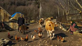 A Quiet Winter in the Mountains: Happy Rural Life Without Luxury