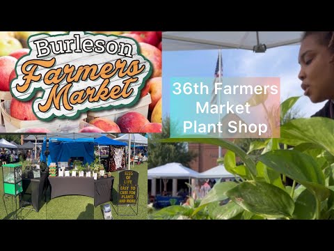 36th Farmers Market | 3 Markets 1 Weekend | Plant Shop Vlog| Part 2