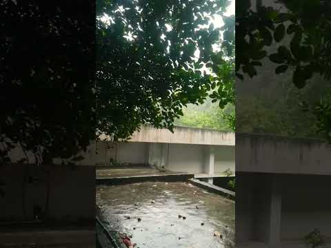 #rimjhimgiresawan #rainyday #song #trending #bollywood #bollywoodsongs #viral #shorts #subscribe