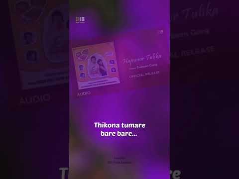 #shorts Hapunor Tulika | Zubeen Garg | Bhal Pabo Najanilu | Achurjya Borpatra | Assamese Song