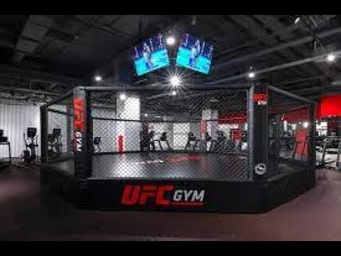 UFC GYM in Ajman, UAE.