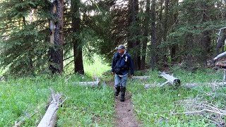 Let's talk solo hiking in grizzly country - Yellowstone