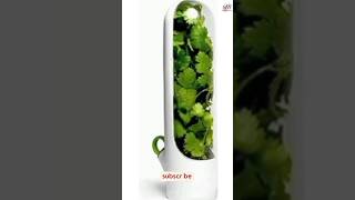 Mini Herb Saver ||kitchen items ||kitchen products #smartgadgets #amazonfinds
